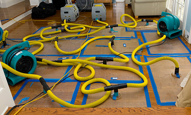 Professional Crawl Space Water Removal technician working in Gautier, MS